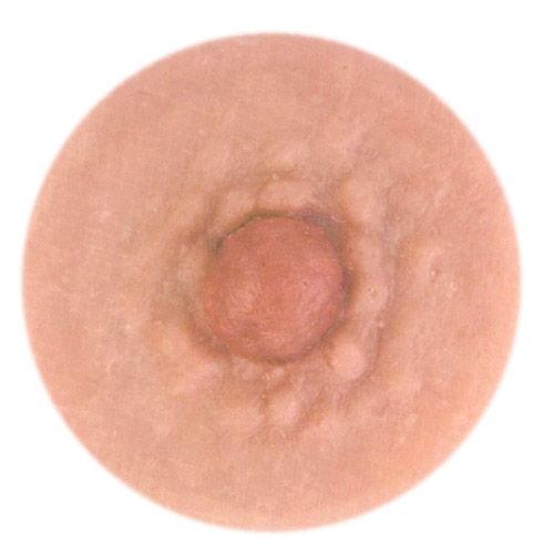 Model Ava 5mm nipple height.<br>Medium nipple width about 10mm.<br>Few pronounced areola bumps.