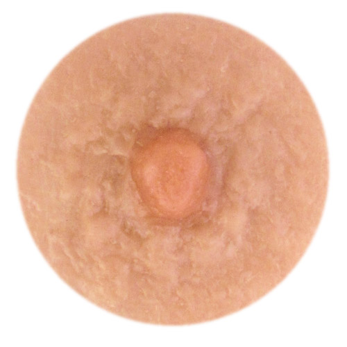 Model Emi-3<br>Petite nipple width about 9mm.<br>Modest areola bumps.