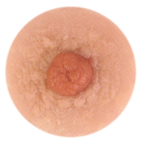 Model Eve 4mm nipple height.<br>Also offered in 2mm.<br>Full nipple width about 14mm.<br>Moderate amount of areola bumps.