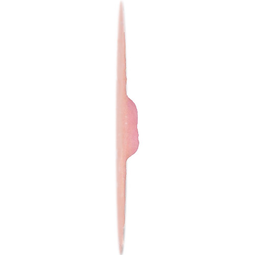 Model Lee 2mm nipple height.<br>Also offered in 4mm.<br>Medium nipple width about 10mm.<br>Mostly smooth areola features.