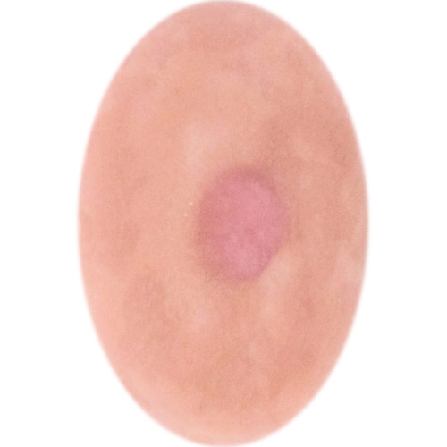 Model Lee 2mm nipple height.<br>Also offered in 4mm.<br>Medium nipple width about 10mm.<br>Mostly smooth areola features.