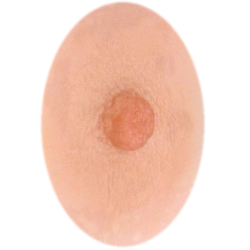 Model Lee 4mm nipple height.<br>Also offered in 2mm.<br>Medium nipple width<br>about 11mm x 14mm oval.<br>Mostly smooth areola features.