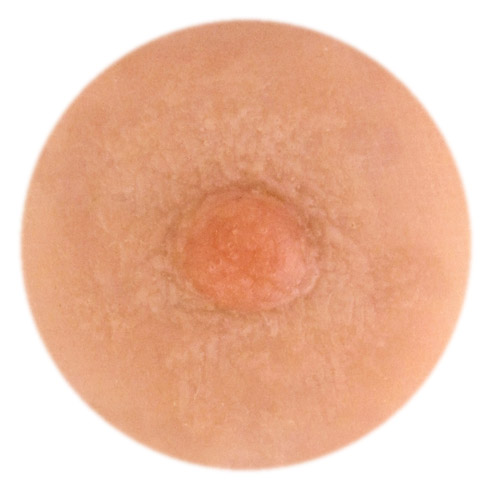 Model Lee 4mm nipple height.<br>Also offered in 2mm.
           <br>Medium nipple width<br>about 11mm x 14mm oval.<br>Mostly smooth areola features.